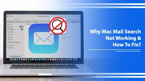 9 Fixes For Mac Mail Search Not Working Issue